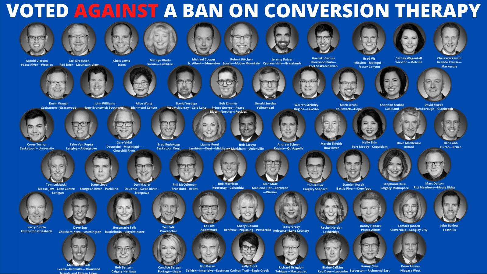 Cons vote against Conversion Therapy